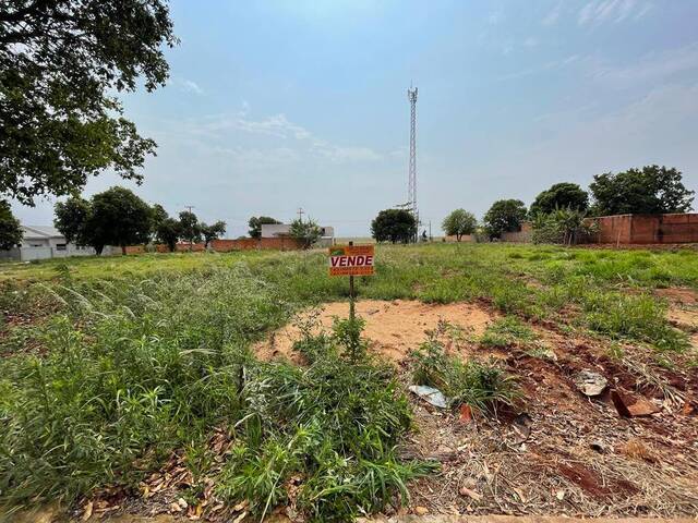 #140 - Área para Venda em Primeiro de Maio - PR - 1