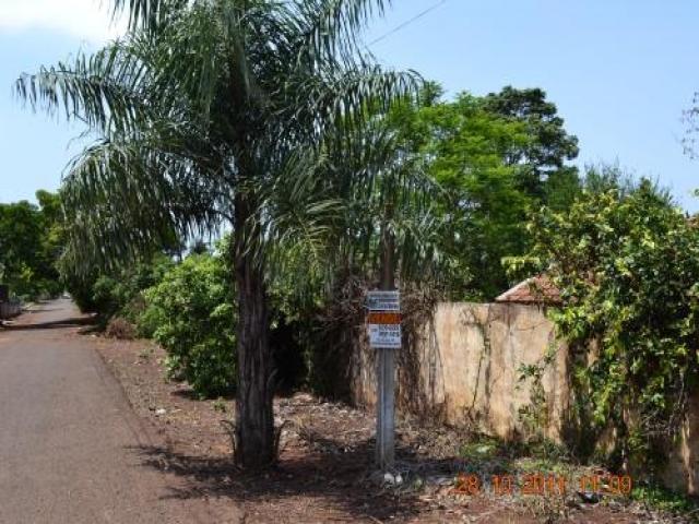 Chácara para Venda em Primeiro de Maio - 5